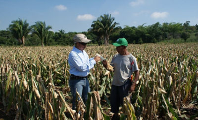 linea del tiempo imagenes 2023 Pioneer México